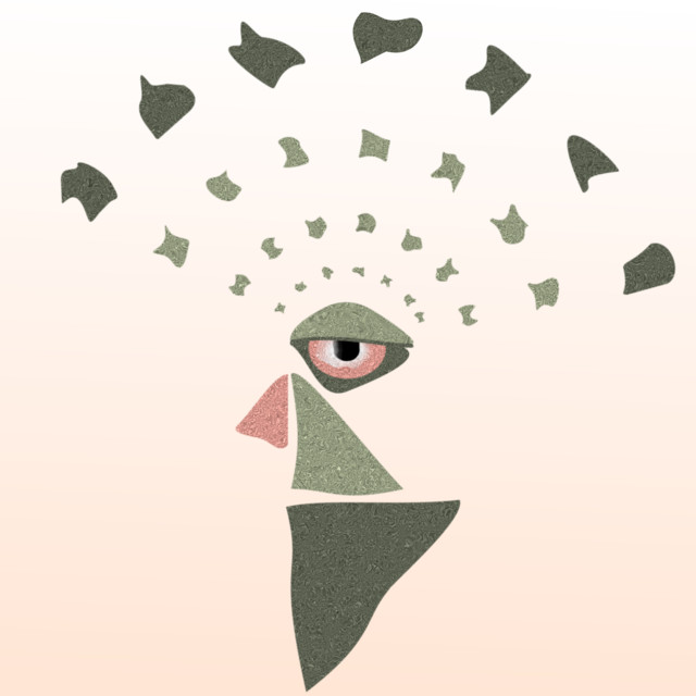 Hallumakken cover art