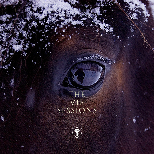 THE VIP SESSIONS 5 : STUCK WITH YOU cover art