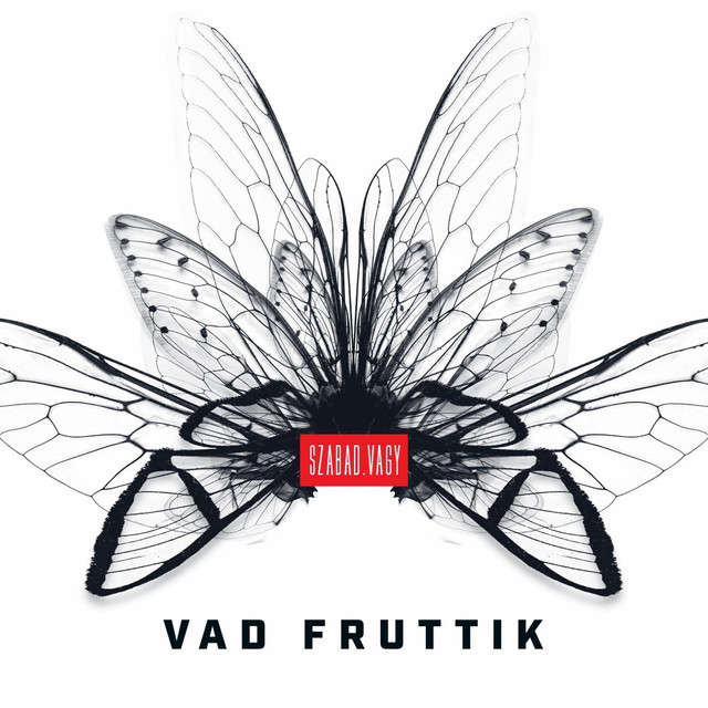 Szabad.vagy cover