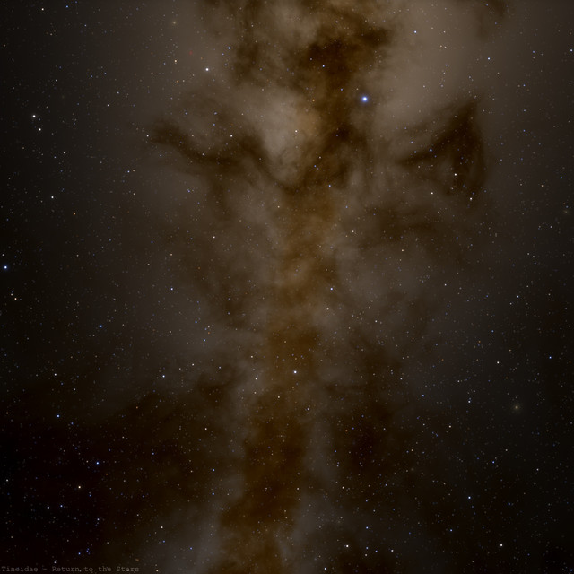 Обкладинка: Return to the Stars — Tineidae
