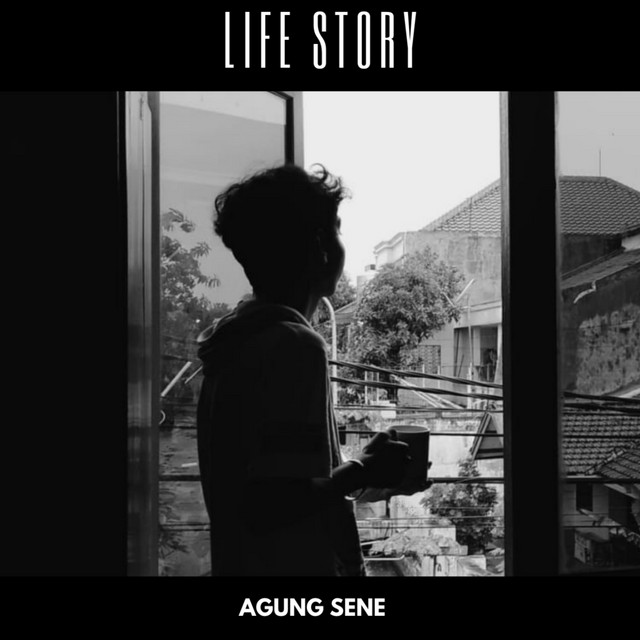 Life Story cover art