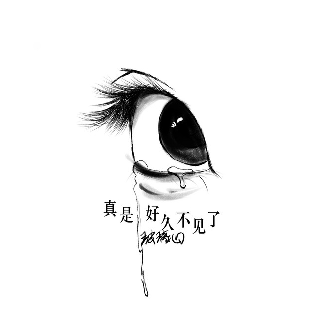 真是好久不见了
