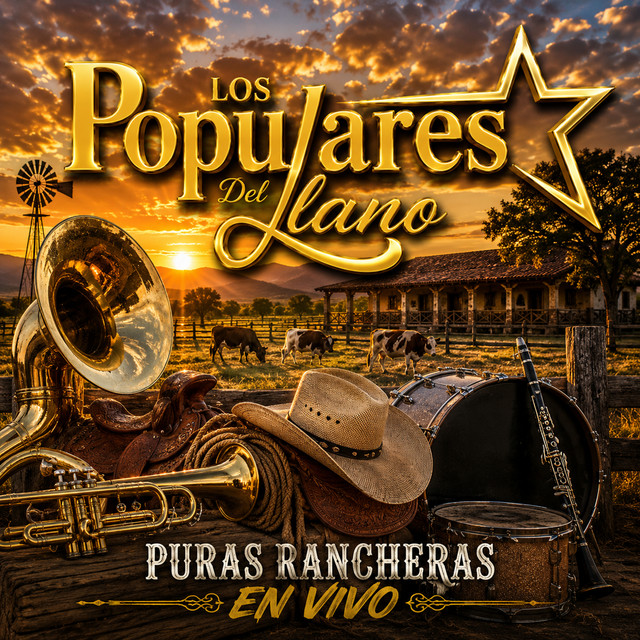 Puras rancheras (En Vivo) cover art