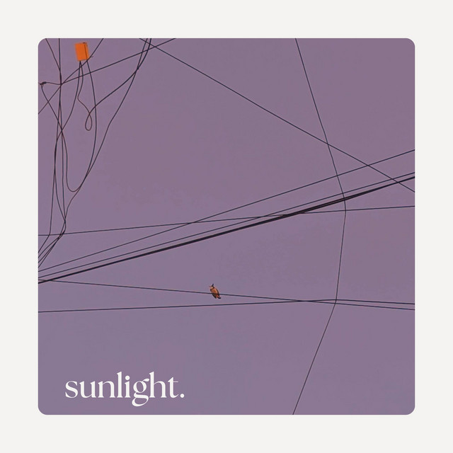 sunlight. - song and lyrics by Thachil, Mayooran Jayamohan, Kedar | Spotify