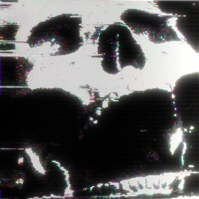 B4US cover art