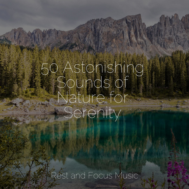 50 Astonishing Sounds of Nature for Serenity - Album by Spa | Spotify
