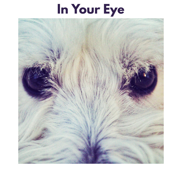 In Your Eye cover art