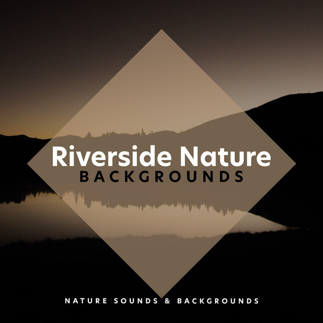 Fall Season Birds - song and lyrics by Nature & Sounds Backgrounds ...