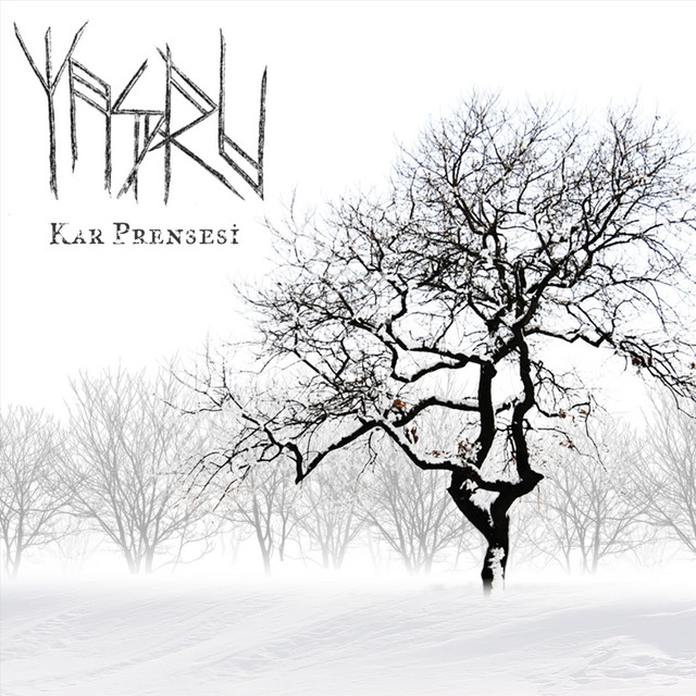 Kar Prensesi cover art