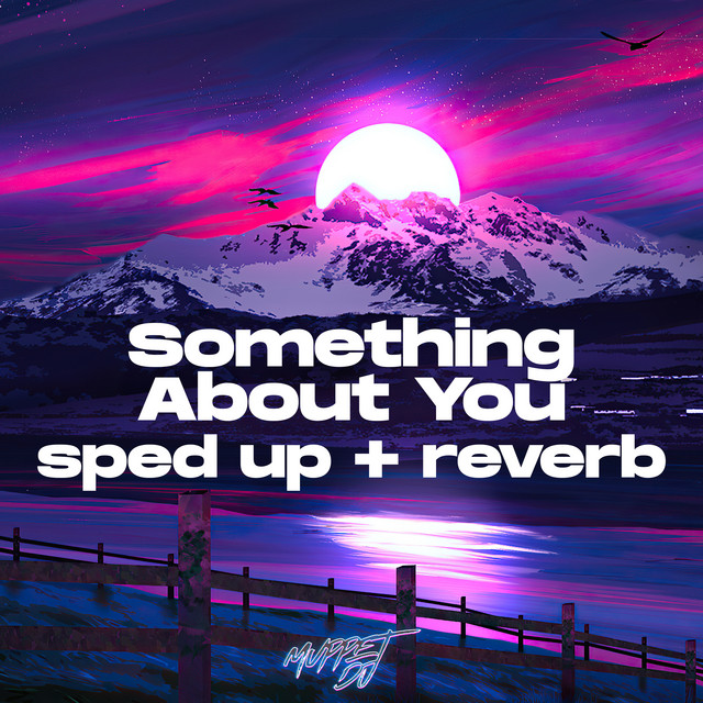 Something About You (Sped Up + Reverb) [Remix] cover art