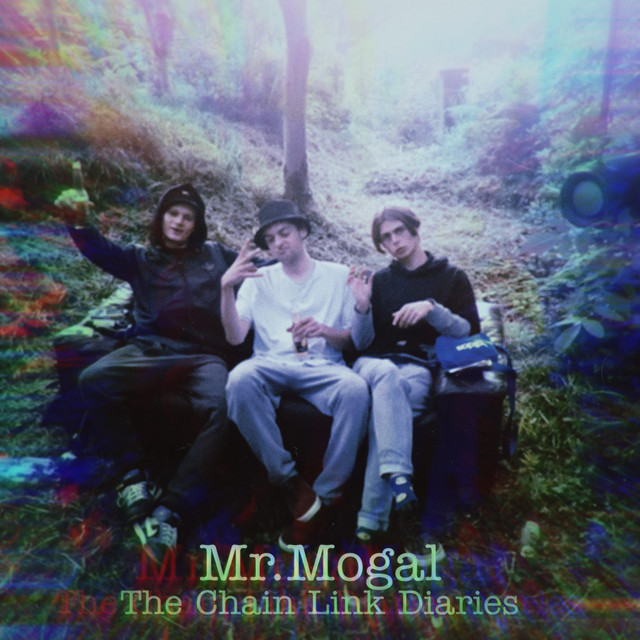 The Chain Link Diaries cover art