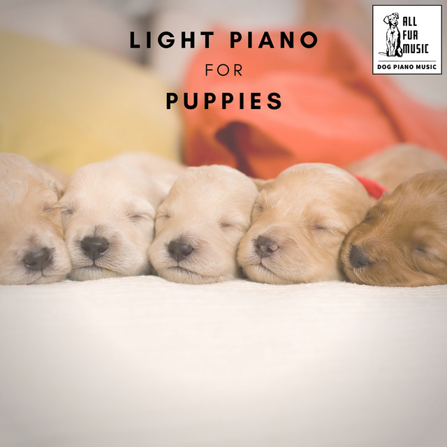 Light Piano for Puppies cover art