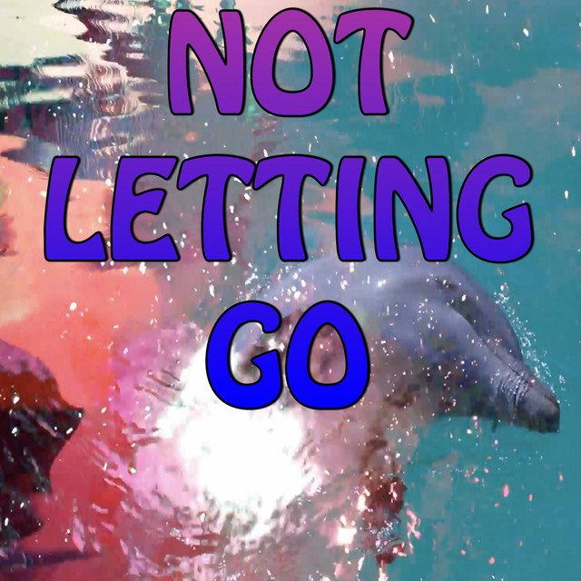 Not Letting Go - Tribute to Tinie Tempah and Jess Glynne - Single by T ...