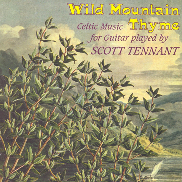 Wild Mountain Thyme - Celtic Music for Guitar