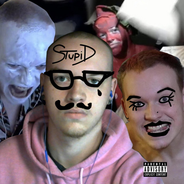 stupid cover art
