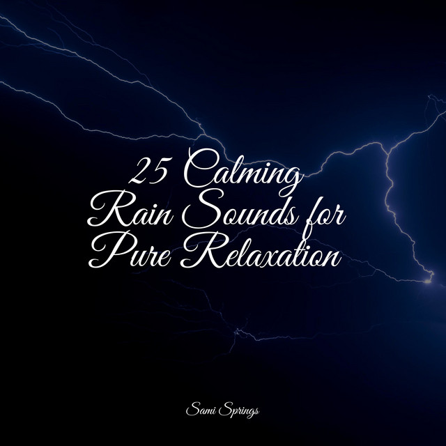 25 Calming Rain Sounds for Pure Relaxation - Album by White Noise ...