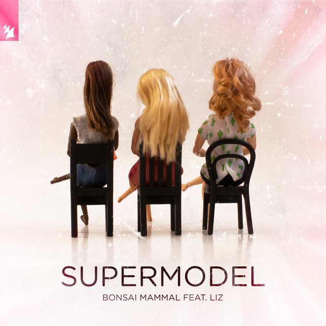Supermodel cover