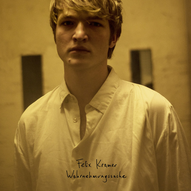 Wahrnehmungssache cover art