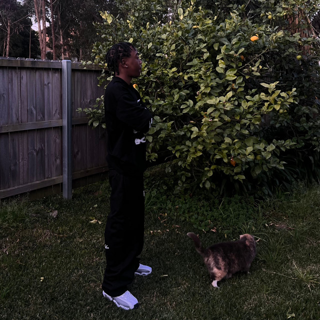 purr