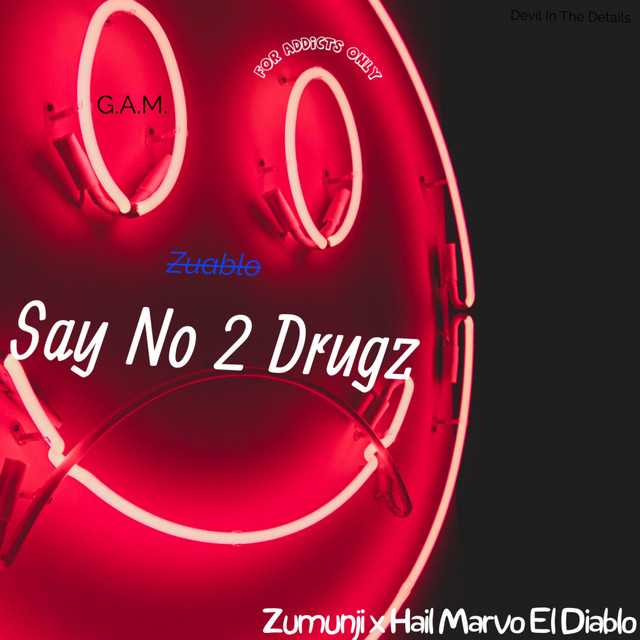 Say No 2 Drugz cover art