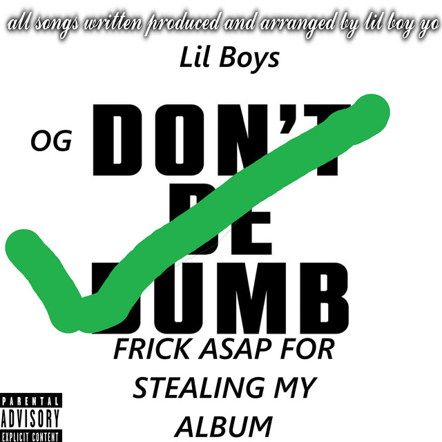 Dont be dumb cover art