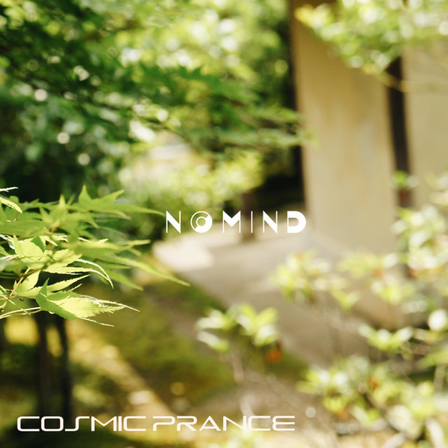 No Mind cover