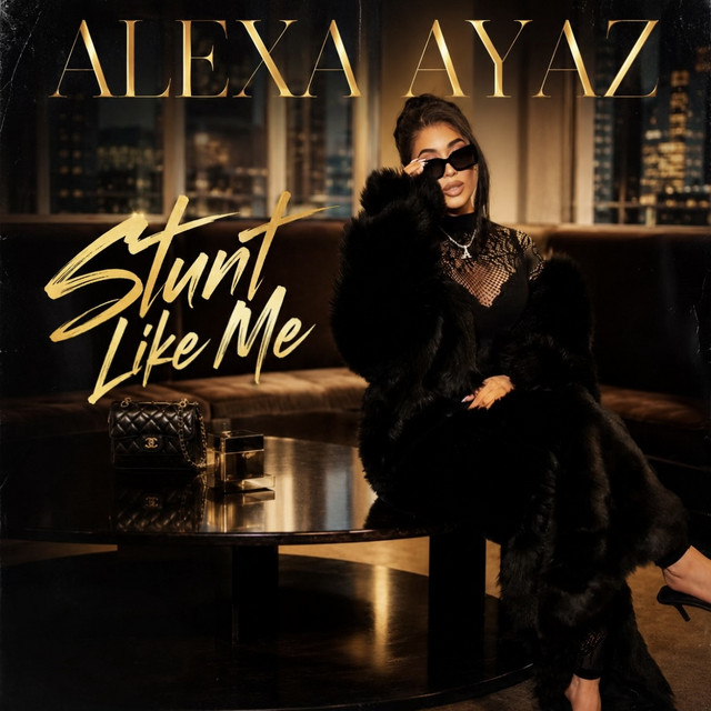 Stunt Like Me album image