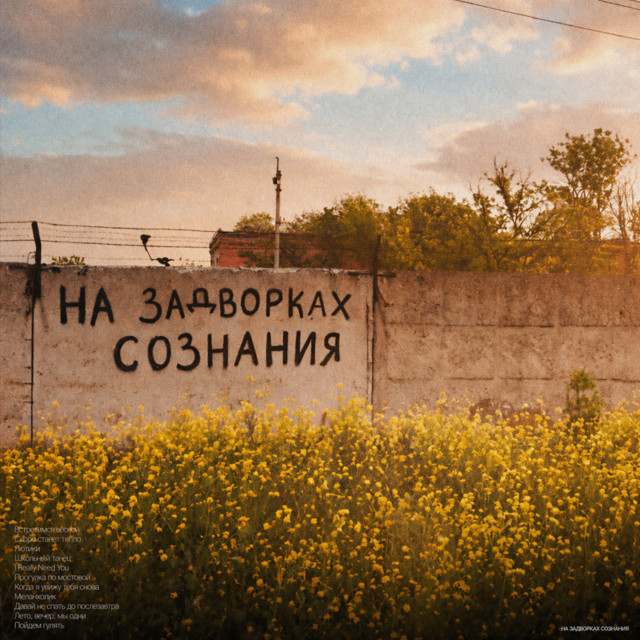 На задворках сознания cover art