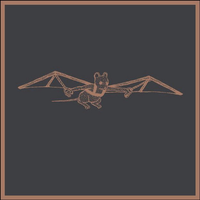 S / T cover