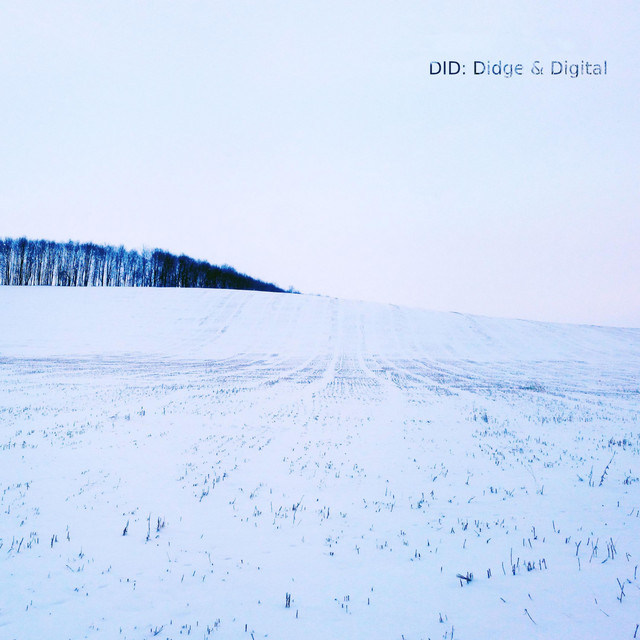 Cover art for DID: Didge & Digital — Didge and Digital