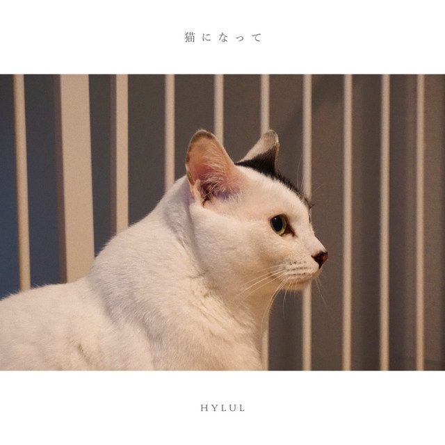 猫になってのジャケット
