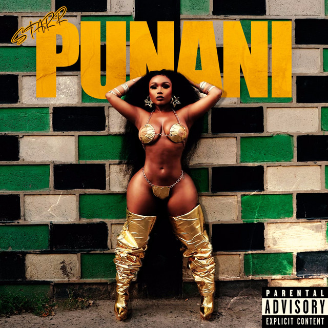 Punani cover art