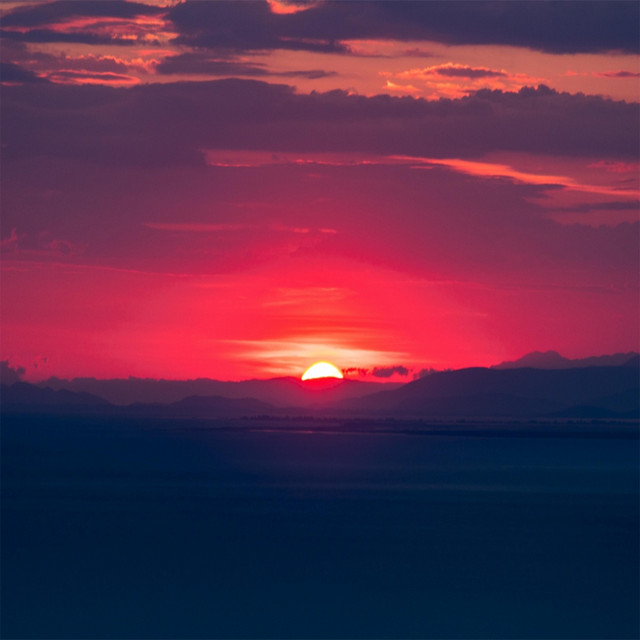 Sunny cover art