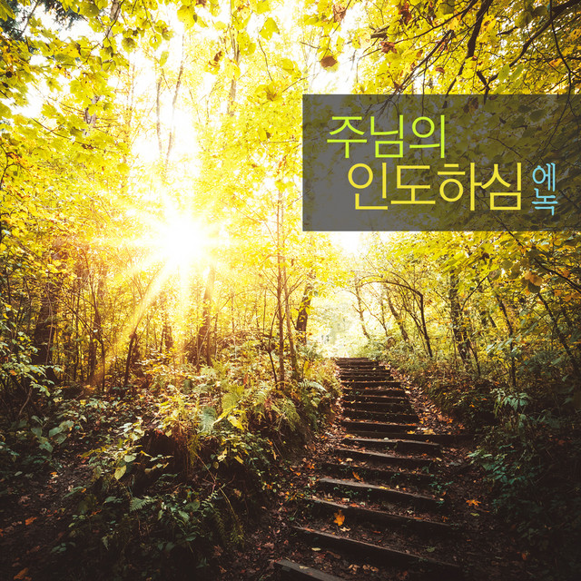 The Lord's Lead (single)