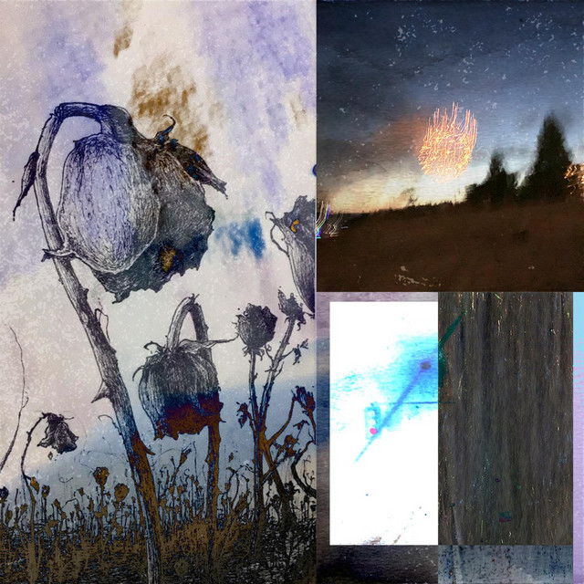 wither away