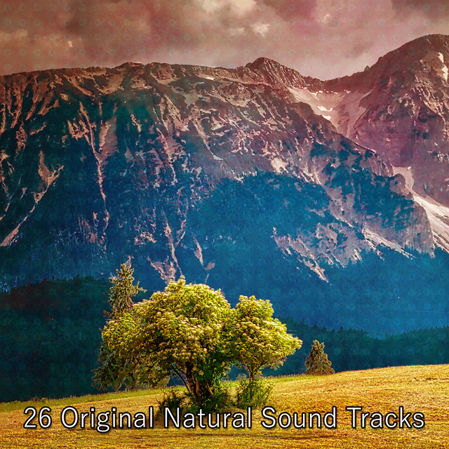 26 Original Natural Sound Tracks - Album by Animal and Bird Songs | Spotify
