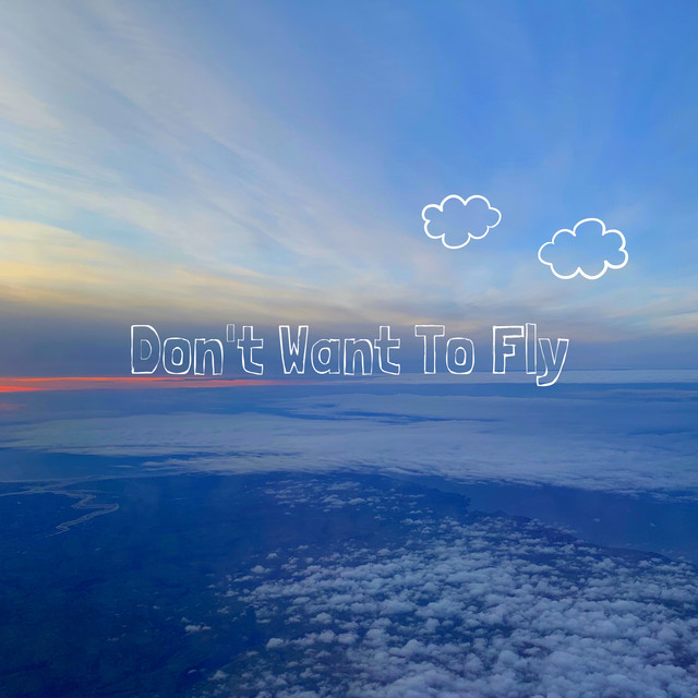 Don’t Want To Fly - Single by Rhys Clements | Spotify