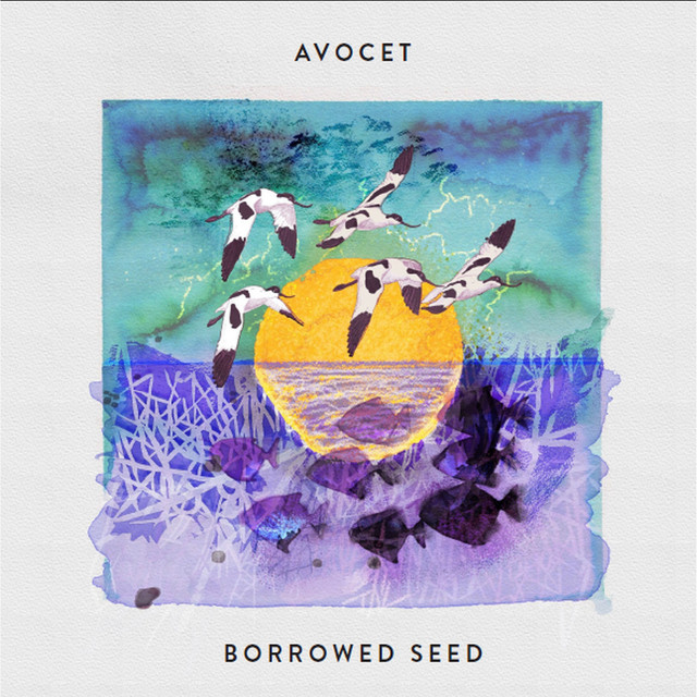 Borrowed Seed cover