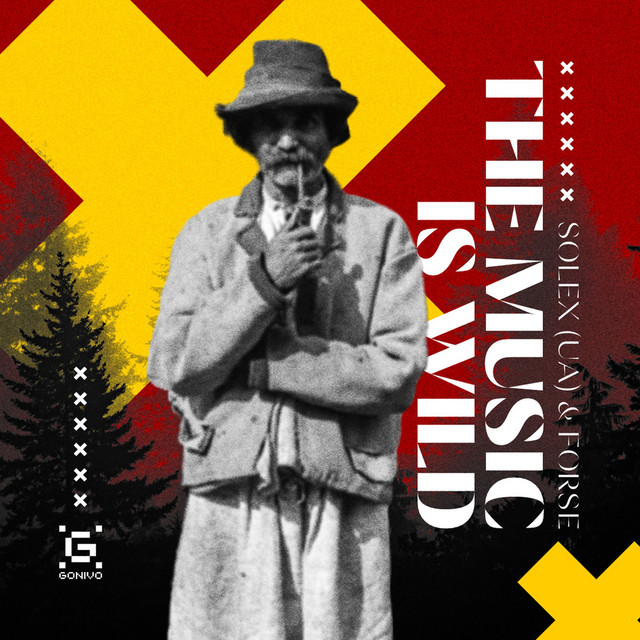 Обкладинка: The Music Is Wild — Solex (UA)