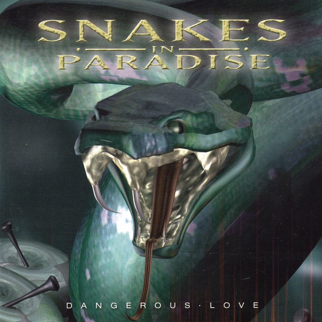 Dangerous Love cover art