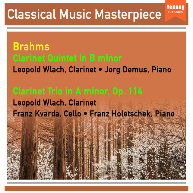Brahms- Clarinet Sonatas No. 1&2 (Study, Focus, Relaxing, Sleep, Epic) cover art