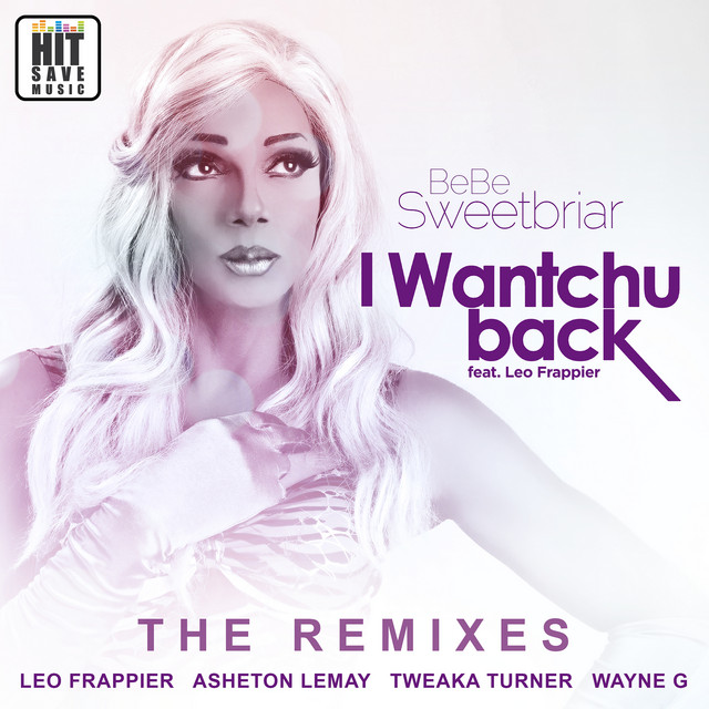I Wantchu Back Ft. Leo Frappier (The Remixes) cover art