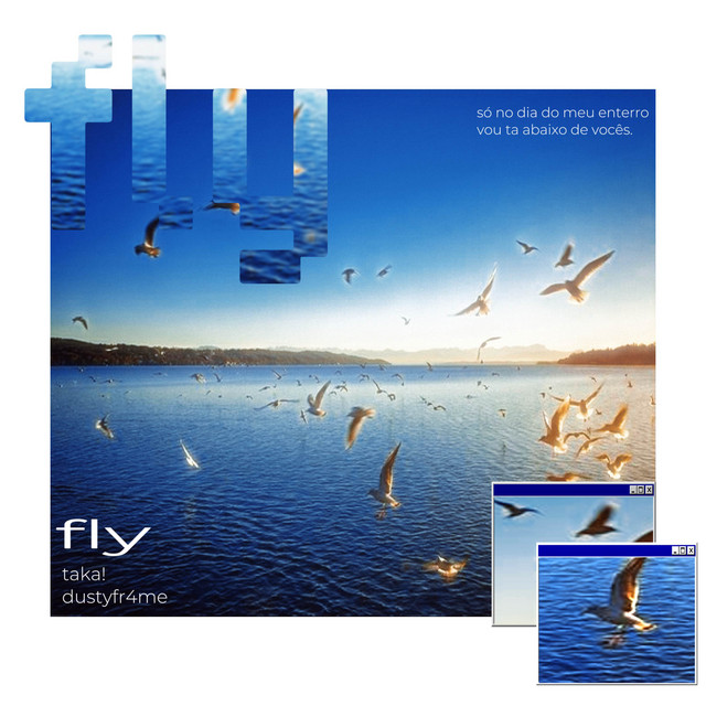 FLY cover art