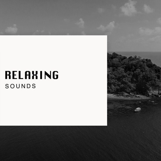 2020 Relaxing Healthy Living Sounds - Compilation by Various Artists ...