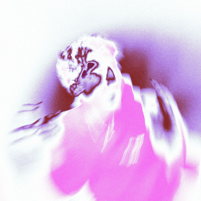 FLASH cover art