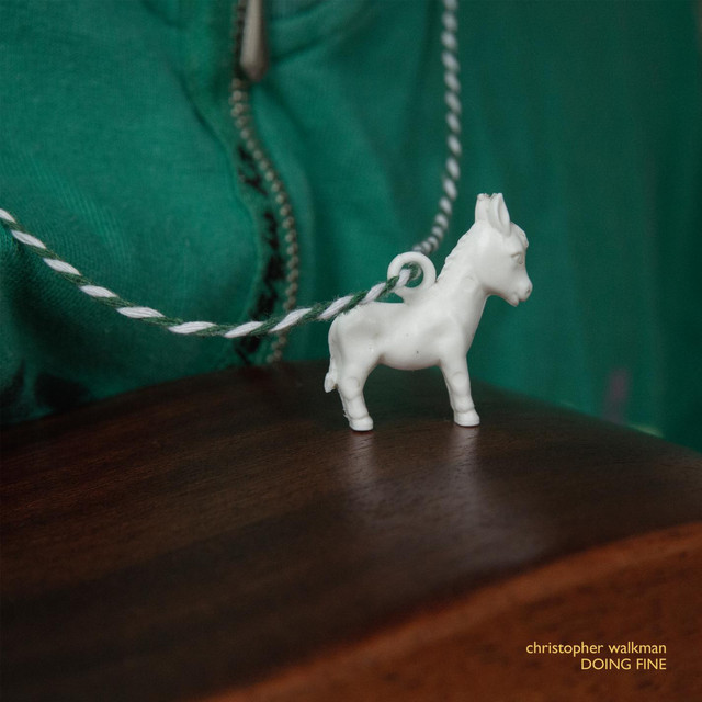 Doing Fine cover art