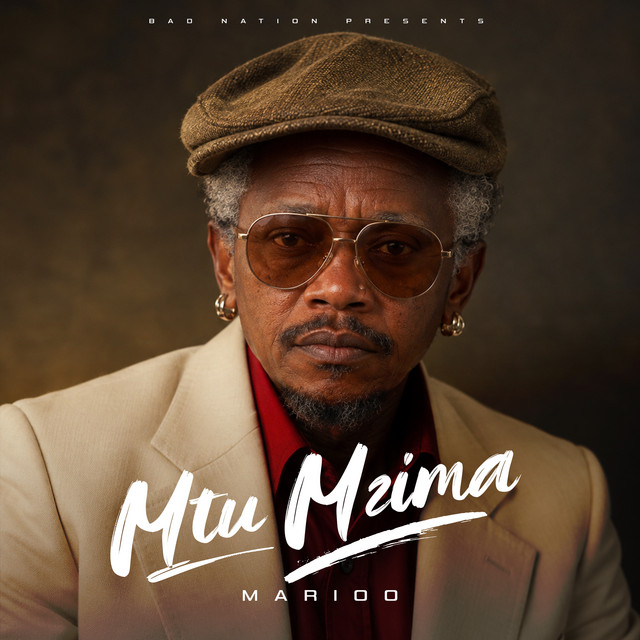Mtu Mzima album image