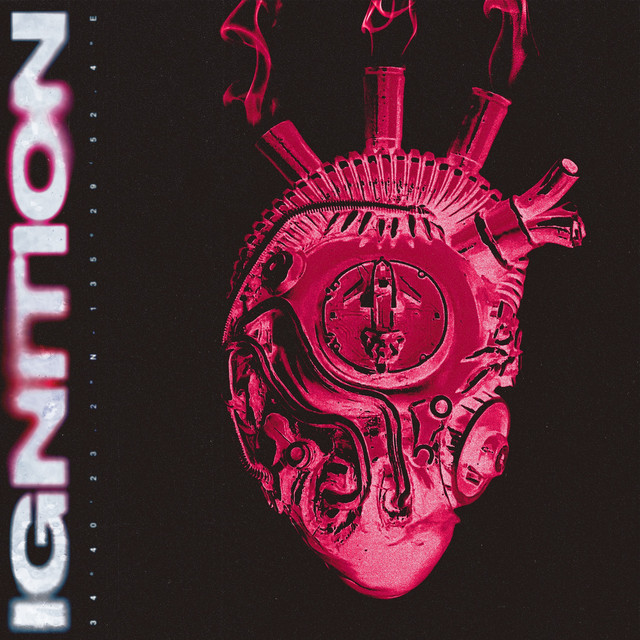 ignition cover
