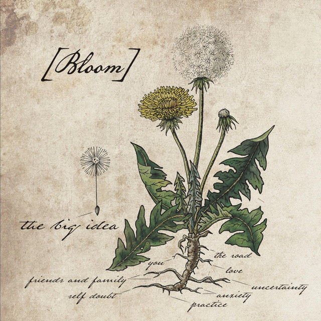 Bloom cover