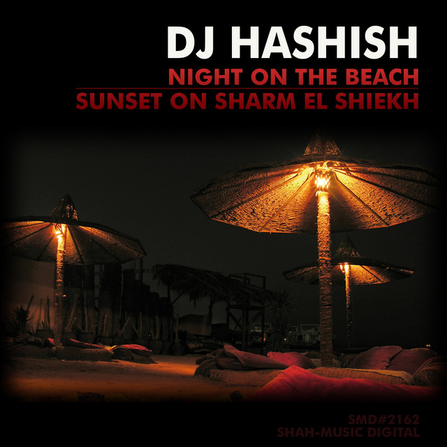 Night On the Beach - Original Mix cover art